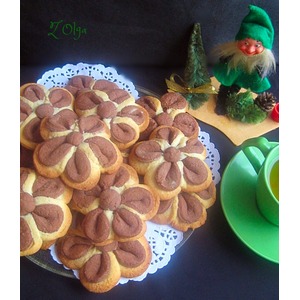 ������� "��������"