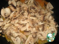 �������� � ������������ � �������� �����������