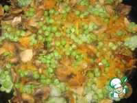 �������� � ������������ � �������� �����������