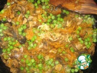 �������� � ������������ � �������� �����������