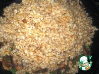 �������� � ������������ � �������� �����������