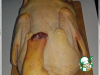 ���� � �������� "������� �����" �����������