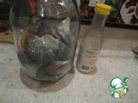 ������� "�� �� ������" �����������