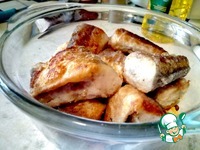 ������������ ���� �������� �����������