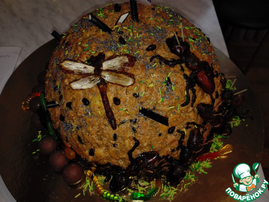 ����������