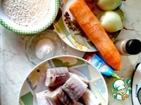 ������������ ���� �������� �����������