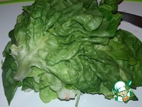 ����� � ������ �����������