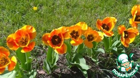 ��������� ��� � ����, � ��� ���� ������