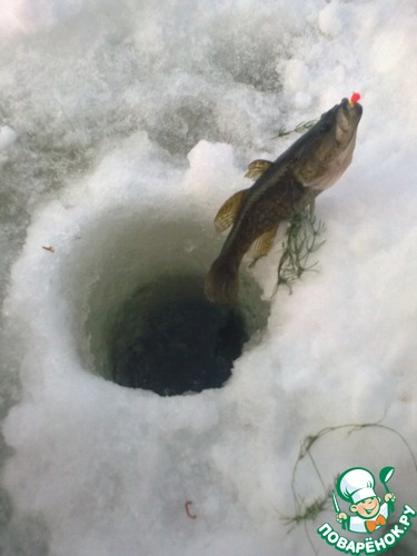 ��� ���� ������.