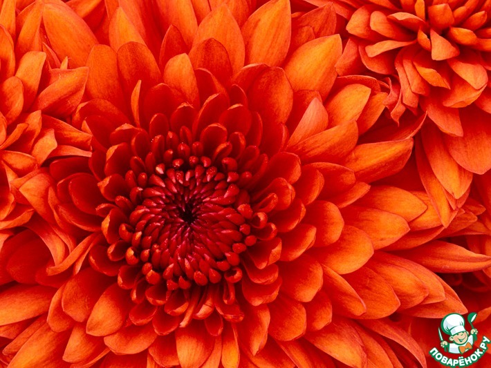 ���� ����� � 56