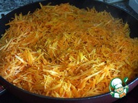 ������ ���� � ����� � �������� �����������