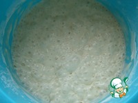 ���� ���������-��������� � ������ �����������