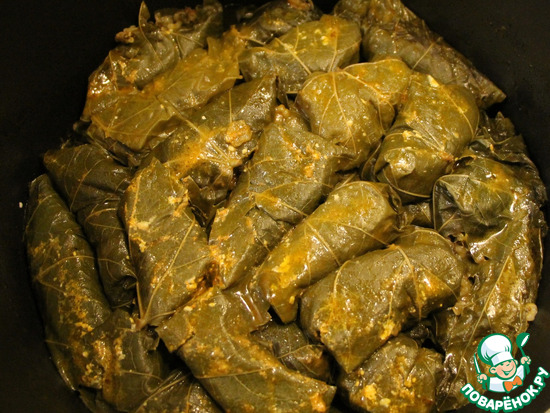 ����� �� �������� "��� �������"