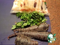 ������ � ������ �������� � ���������� �����������