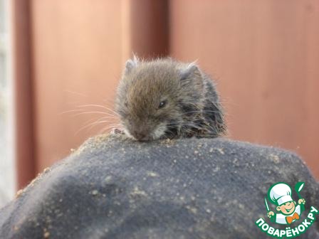 ��� ������ ������ ��������� � �����. ��� �� ������!