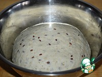 ����� ������� �����������