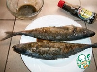 �������� ���� �����������