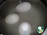 �����-������� "��������" �����������