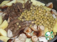 ������ � ������� �����������