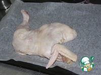 ������ � ���������� � ���������� �����������