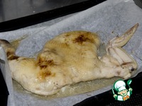 ������ � ���������� � ���������� �����������