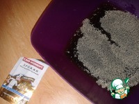 ����� "������" �����������