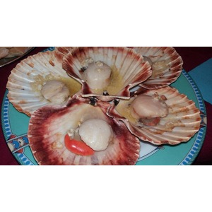 �������� � ��������-��������� �����