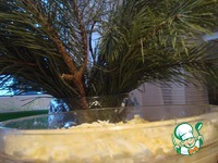 ����� "����������" �����������