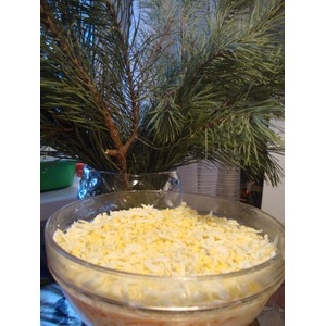 ����� "����������"