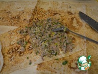 ������ � ���������� �����������