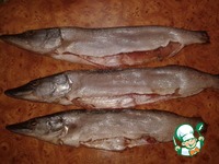 ������� ���� �����������