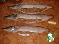 ������� ���� �����������