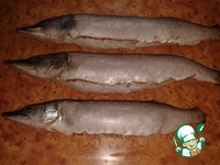 ������� ���� �����������