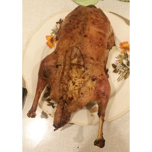 ����, ������������� �������� �������� � �������