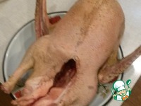 ����, ������������� �������� �������� � ������� �����������