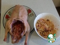 ����, ������������� �������� �������� � ������� �����������