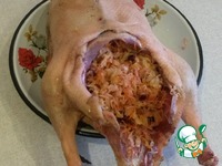 ����, ������������� �������� �������� � ������� �����������