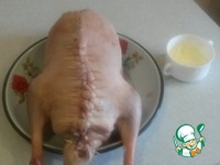 ����, ������������� �������� �������� � ������� �����������