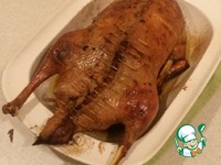 ����, ������������� �������� �������� � ������� �����������