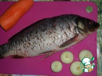 ���� � ������ �� ������� ������� �����������