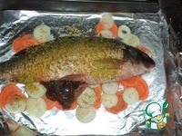 ���� � ������ �� ������� ������� �����������