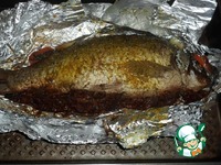 ���� � ������ �� ������� ������� �����������