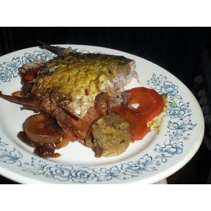 ���� � ������ �� ������� �������