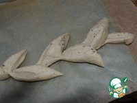 -  &quot;&quot;  &quot;&quot; 