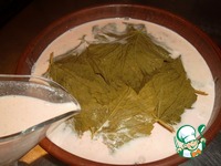 ����� �� �������� "��� �������" �����������