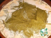 ����� �� �������� "��� �������" �����������