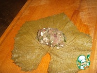 ����� �� �������� "��� �������" �����������