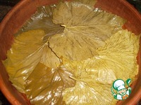 ����� �� �������� "��� �������" �����������