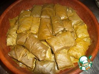 ����� �� �������� "��� �������" �����������