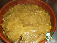 ����� �� �������� "��� �������" �����������